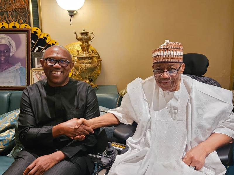 Inside story of Peter Obi’s visit to Babangida in Niger (Photos)