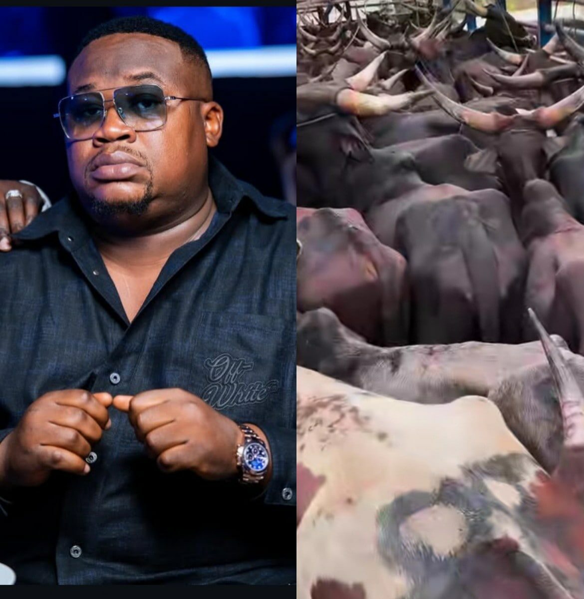 VIDEO: Cubana Chief Priest gifts 47 cows for friend's mother's burial