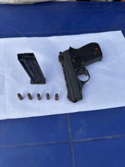 Gun
