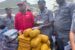 Nigeria Custom Service hands over impounded cannabis sativa weighing 3103.3kg as well as 88 cartons of codeine syrup to NDLEA in Ogun state.
