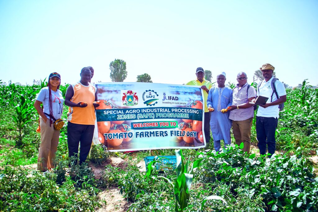 IFAD  Special Agro-Industrial Processing Zones (SAPZ) programme  empowers no fewer than 505 rice farmers and 504 tomato farmers in Kano.