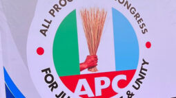 APC flag