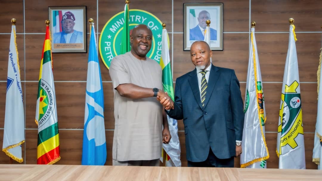 Nigeria, South Africa strengthen energy ties to curb continental energy deficit