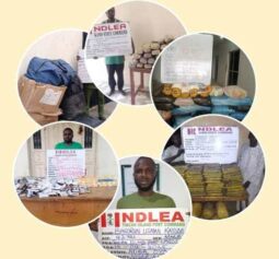 NDLEA