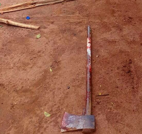 Nnamdi Anyaji kills mother over 'dishonesty' on cassava proceeds