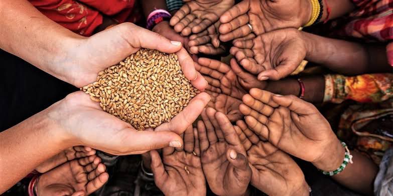 Collaboration to Strengthen Health Systems and Stop Violence Against Women