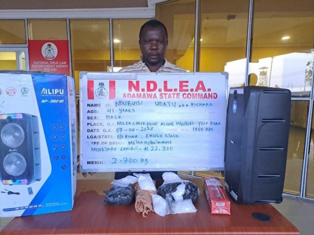 ndlea2