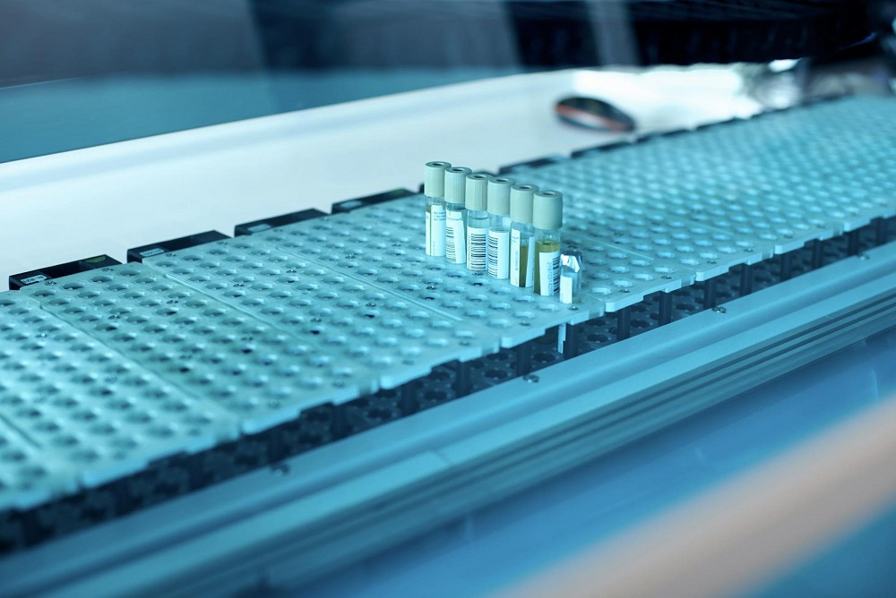 B7-33 Peptide: A Promising Molecule in the Exploration of Biological Systems