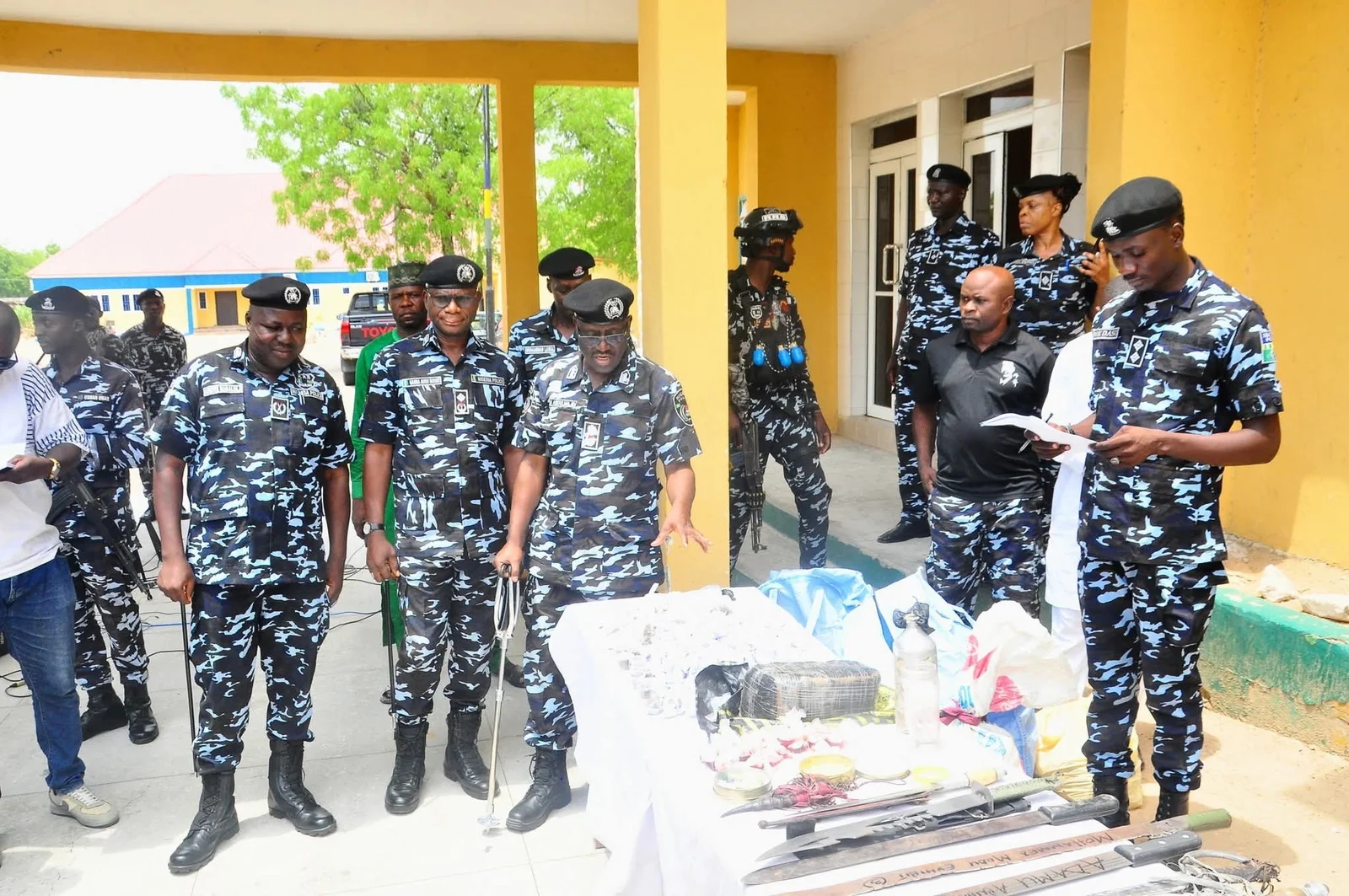 Police operatives nab 210 suspects, recovered large quantities of hard drugs and weapons during operations across Borno State.