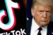 Trump and TikTok