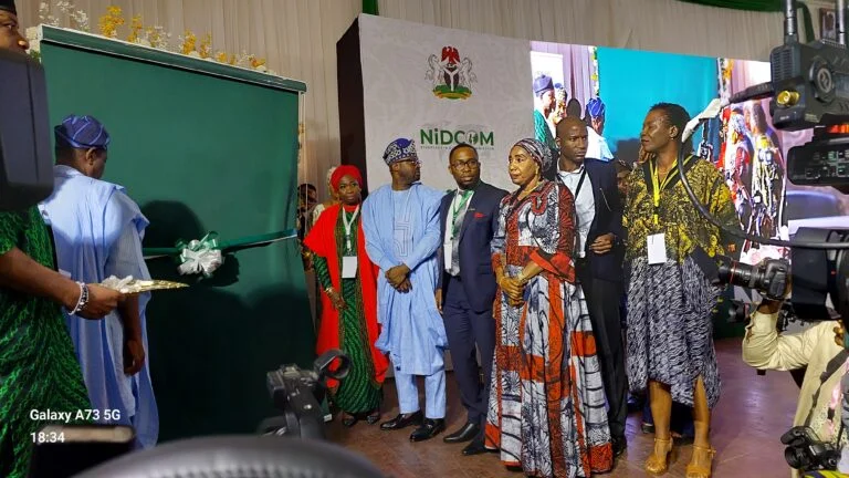 President Tinubu says Diaspora Home Remittances through official channels was $20.93bn, four times the value of Nigeria’s FDI in 2024