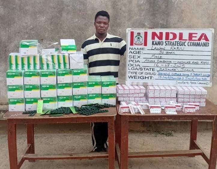 NDLEA arrests wanted drug kingpin with 11.6kg cocaine, meth