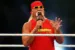 Hulk Hogan