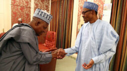 Shettima and Buhari