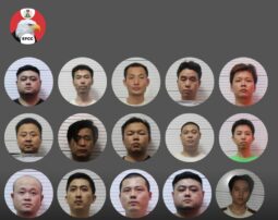 chinese fraudsters