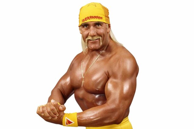 hulk hogan 4