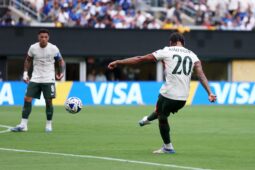 pedro 5