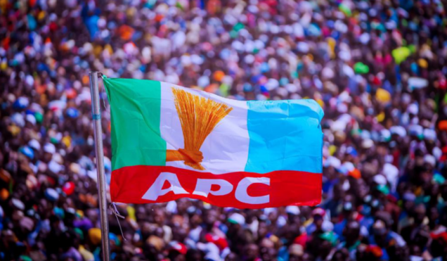 APC flag 5