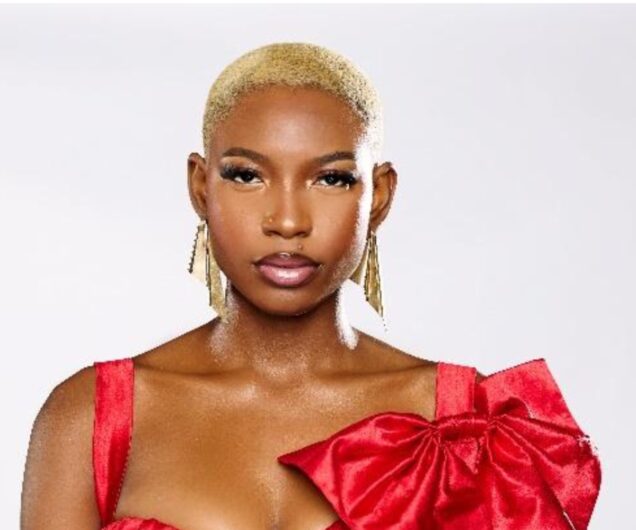 BBNaija Joanna breaks record