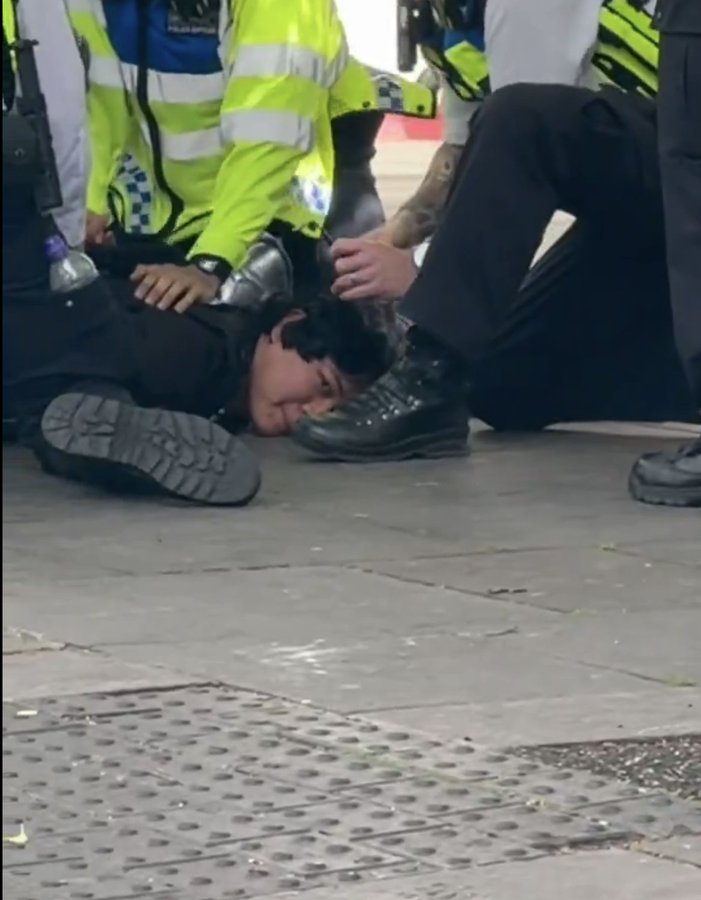 Arrest that saved Chelsea fans after Fulham clash