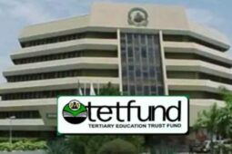 TEtfund