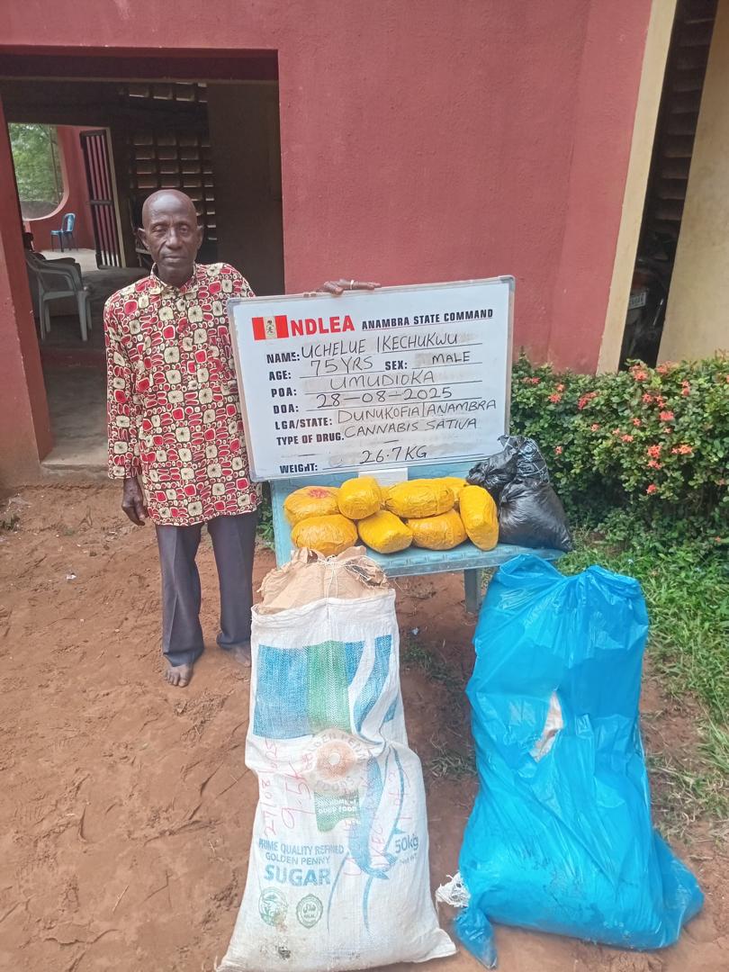 75-year-old grandpa arrested as NDLEA destroys 178,000kg skunk