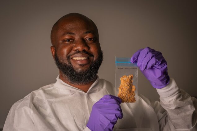 temidayo egusi