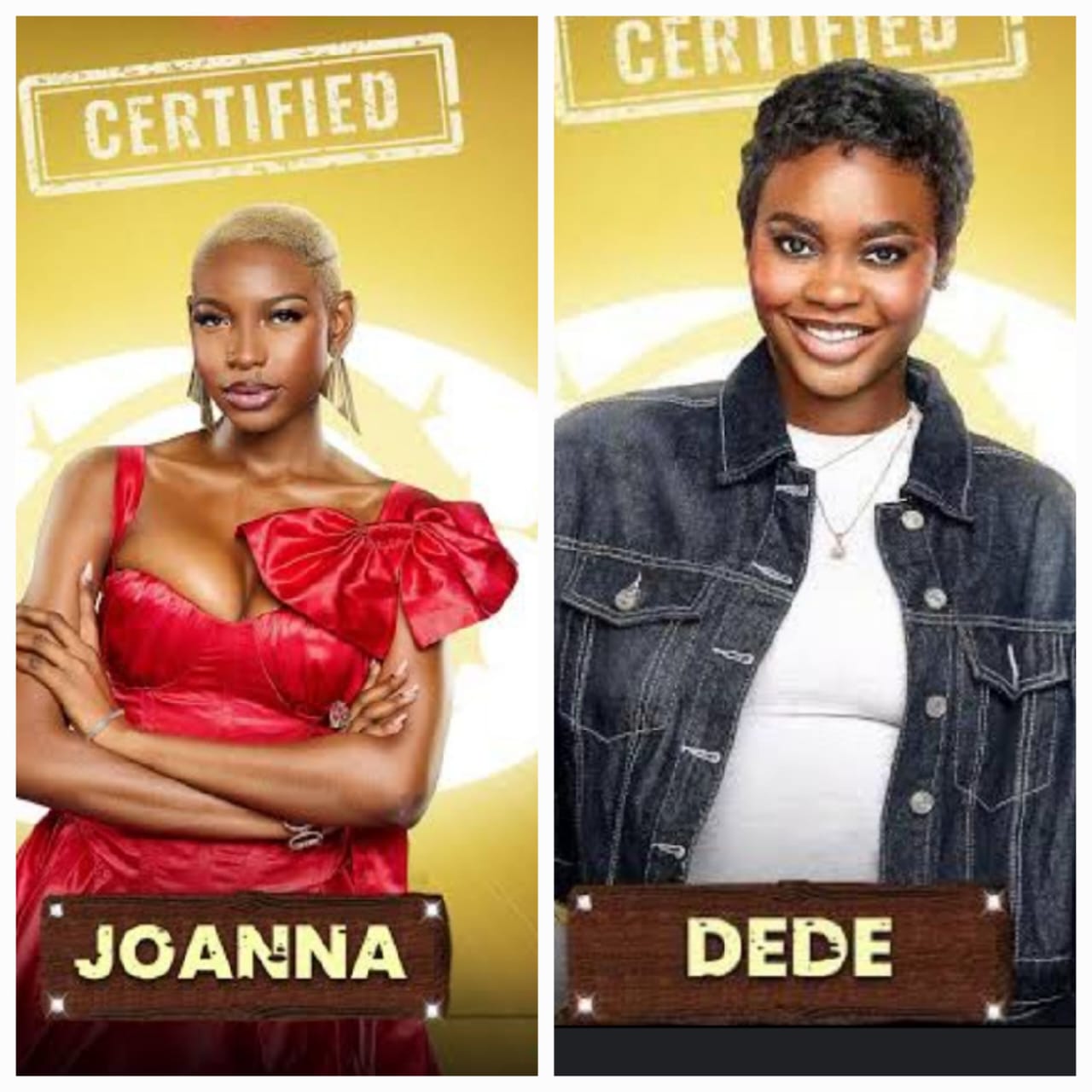 BBNaija S10: Shock as Dede, Joanna gets 'evicted'