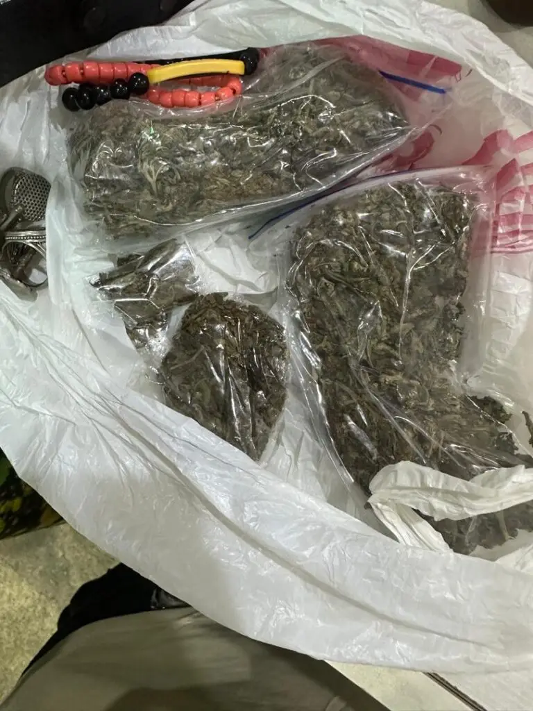 NCoS operatives nab one Njimogu Ikedi while attempting to smuggle suspected to be cannabis sativa, others to Kuje prison