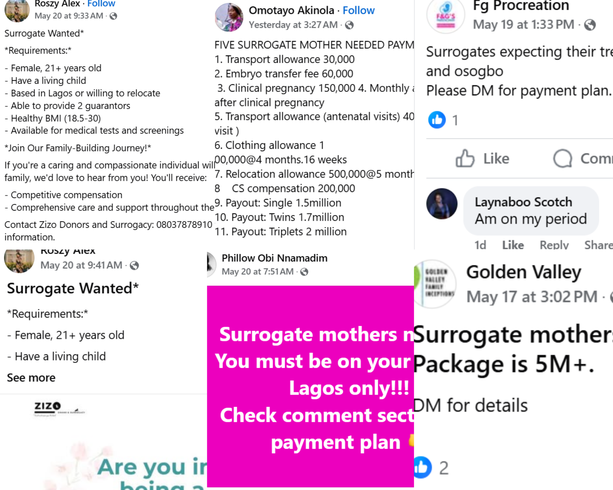 Surrogacy Nigeria