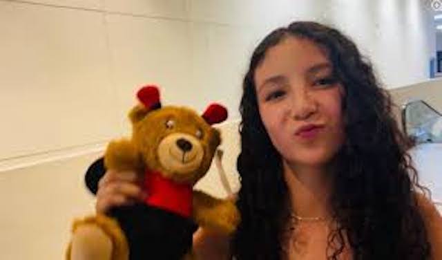 14-Year-Old girl dies after secret breast enlargement surgery