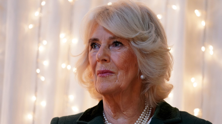 Queen Camilla recounts being victim of attempted assault