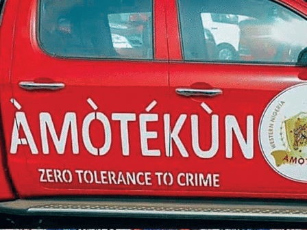 Amoekun