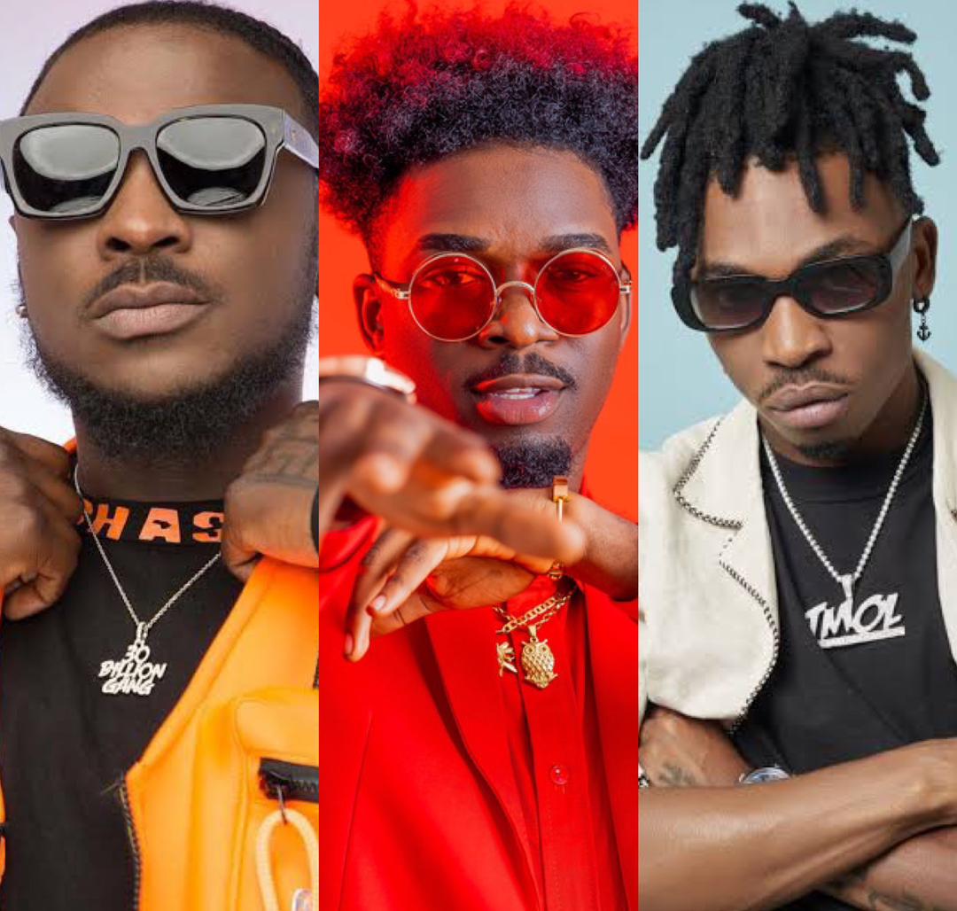 The Flowolf, Peruzzi, Mayorkun, other artistes whose career boomed after Davido feature