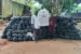 NDLEA says its operatives destroy 66,078.57kg of skunk cannabis, arrest 54 suspected drug traffickers during its September operations in Edo.