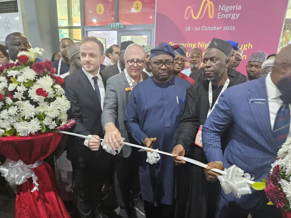 Minister of Power, Adebayo Adelabu says FG has secured N700bn for roll out two million meters annually over the next 5 years under the PMI.