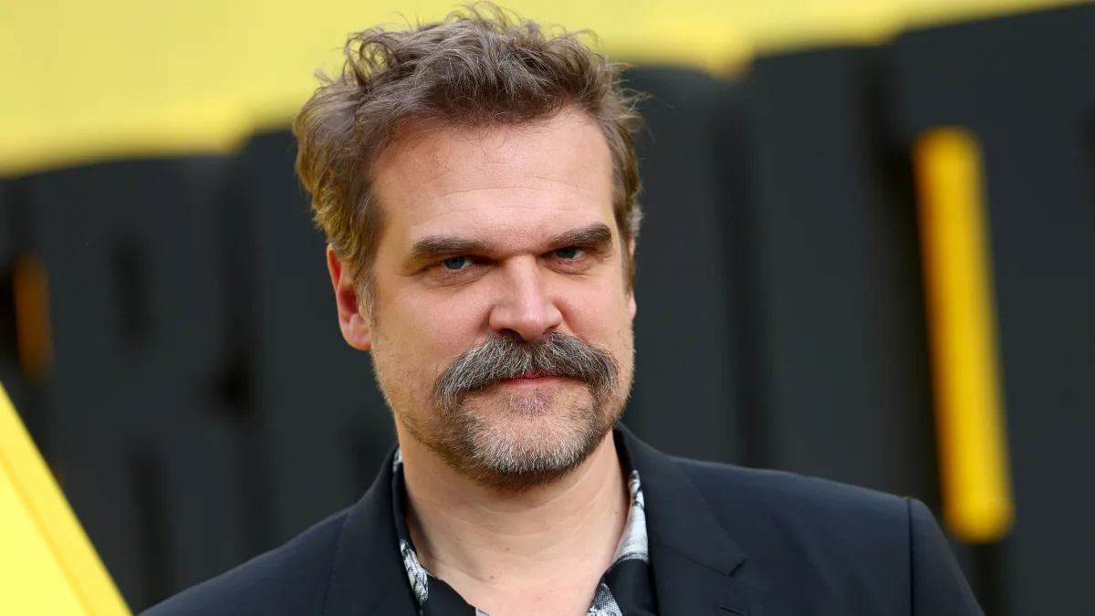 David Harbour opens up amid sexual harassment claim