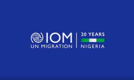 Two Nigerians rescued, two others missing after deadly shipwreck on Mediterranean-IOM