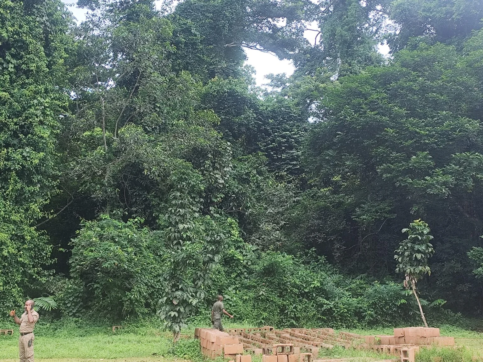 Located in Ovia South-West Local Government Area of Edo, the Okomu National Park is one of Nigeria’s largest surviving rainforests.