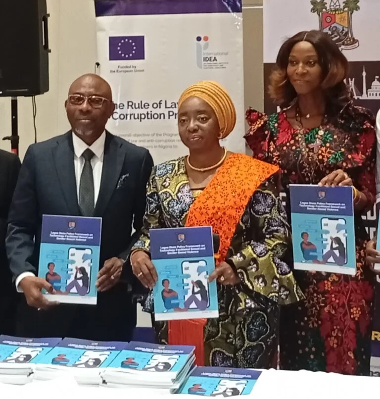 Lagos government said digital expansion had introduced “new, complex avenues for abuse which require urgent and structured intervention”.