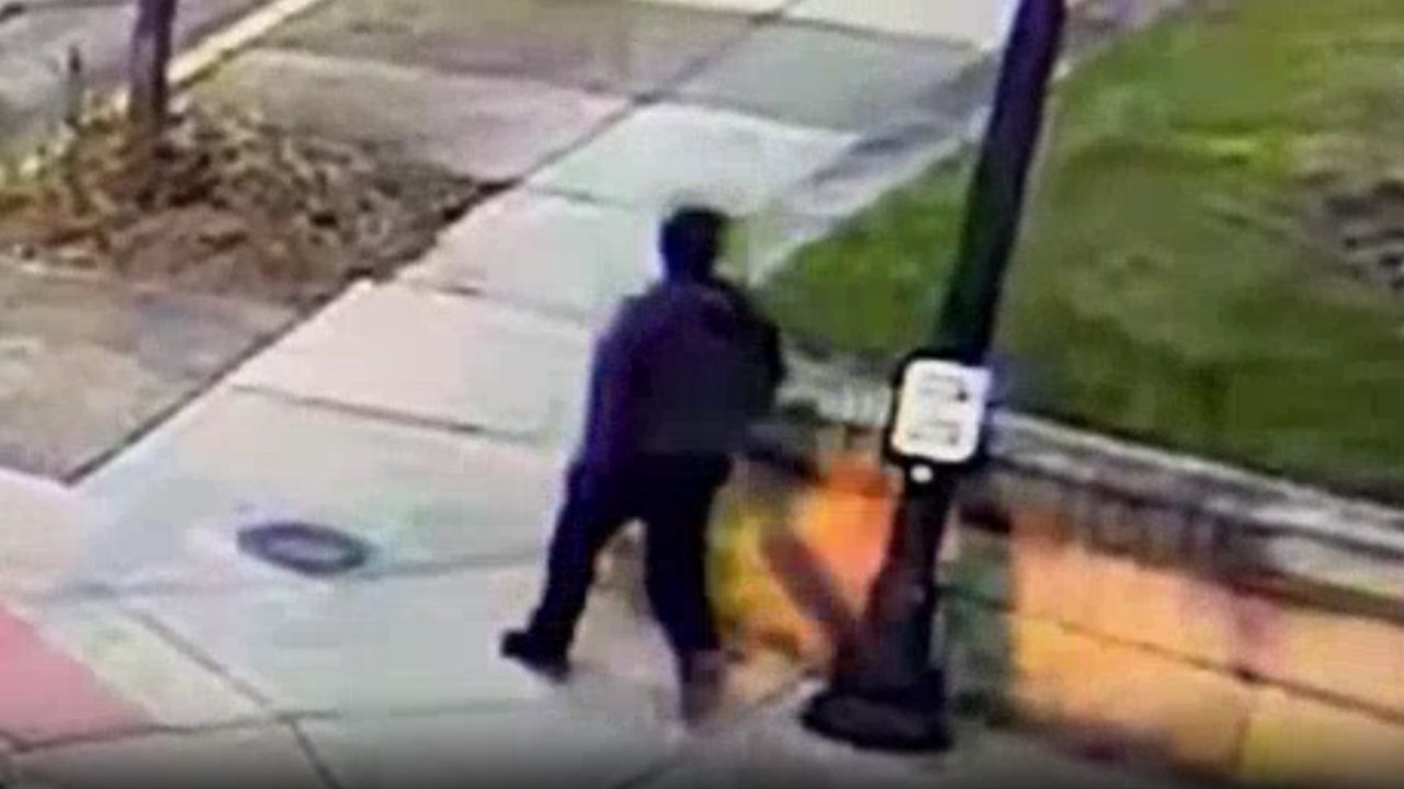 Brown University killer