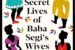 Baba Segi’s Wives