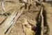 According to the Army, the discovery of the mass grave exposes the scale of terrorist casualties in the ongoing operations by troops