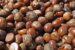 Shea nuts