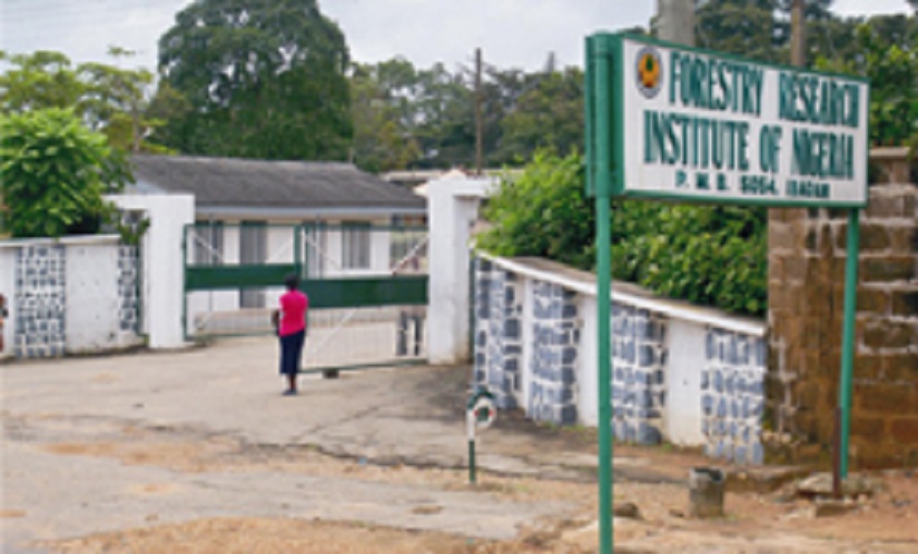 FRIN employee jailed two months for accusing ex-boss of embezzlement