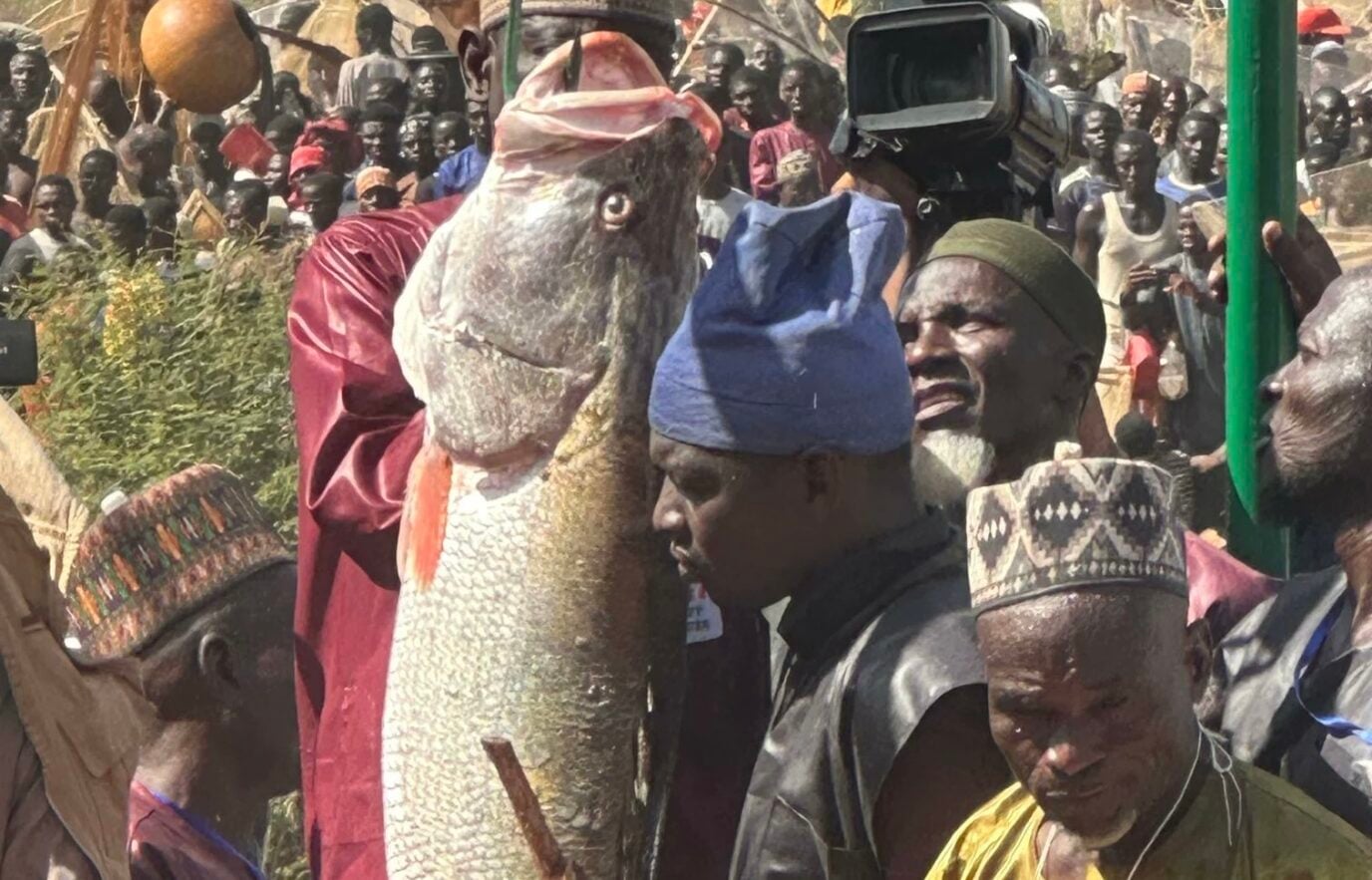 Argungu Fishing Festival: winner smiles home with Toyota cars, N1m