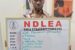 NDLEA