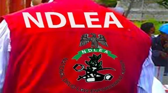 Operation Ramadan Mubarak: NDLEA nabs 17 drug peddlers, seizes assorted illicit drugs in Kano