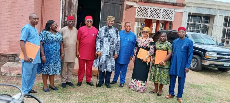 Ohanaeze Ndigbo Worldwide appoints four professors under its Professorial Endowment Chair initiative to prevent extinction of Igbo language