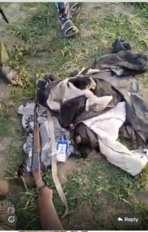 INVASION OF INNAYIN COMMUNITY BY WILD ANIMAL: POLICE RESPOND, URGE CALM AND PUBLIC COOPERATION